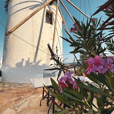 The Windmill Serifos Zewnętrze zdjęcie